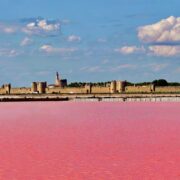 Medieval City By A Pink Lake In Aigues-Mortes, Camargues, France