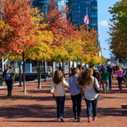 Group walking fall foliage lined street in downtown Baltimore