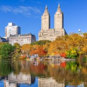 Central Park during autumn in New York City.