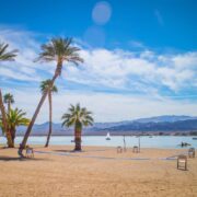 Palm trees lining Lake Havasu, AZ
