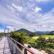 STB, Malaysia partners with RBA at WTM London 2025