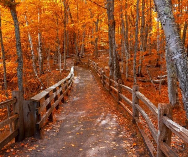5 Under-The-Radar Fall Foliage Destinations to Visit Across The U.S. For $100/Night Before Peak Leaf-Peeping Crowds Arrive