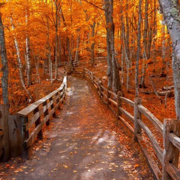 5 Under-The-Radar Fall Foliage Destinations to Visit Across The U.S. For $100/Night Before Peak Leaf-Peeping Crowds Arrive
