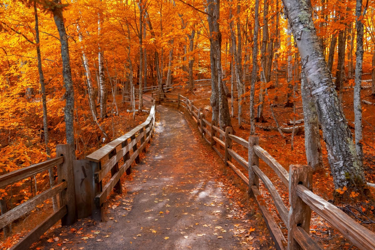5 Under-The-Radar Fall Foliage Destinations to Visit Across The U.S. For $100/Night Before Peak Leaf-Peeping Crowds Arrive