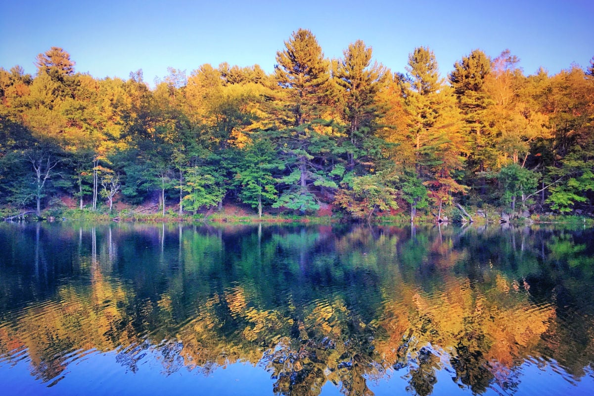 Between NYC And Boston Is Connecticut’s Quiet State Park With A Natural Lake And Wooded Cabins